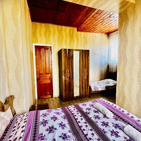 Guesthouse Kamelia Martvili Extérieur photo